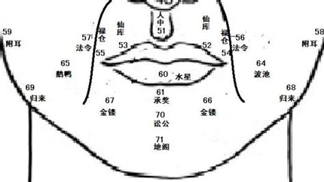 鼻環面相|麦玲玲面相讲座之 鼻子 – 人相学